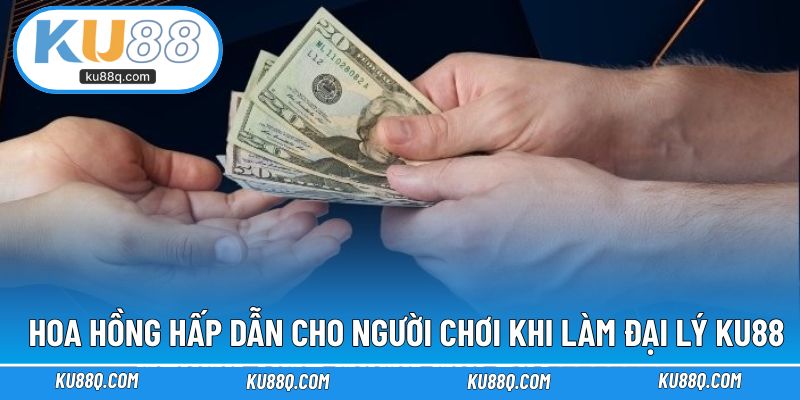 Hoa hồng hấp dẫn cho người chơi khi làm đại lý KU88